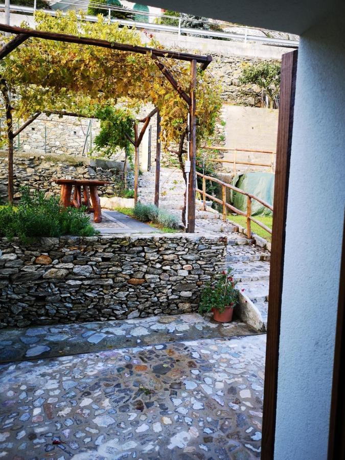 B&B Ca' Du Brigidin Tovo San Giacomo Eksteriør billede