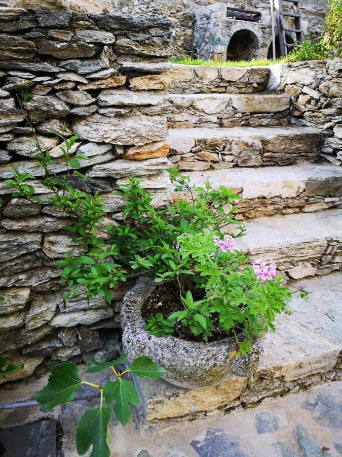 B&B Ca' Du Brigidin Tovo San Giacomo Eksteriør billede