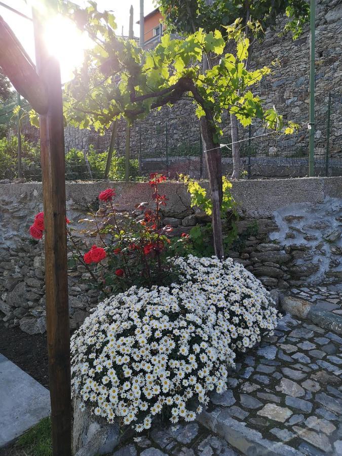 B&B Ca' Du Brigidin Tovo San Giacomo Eksteriør billede