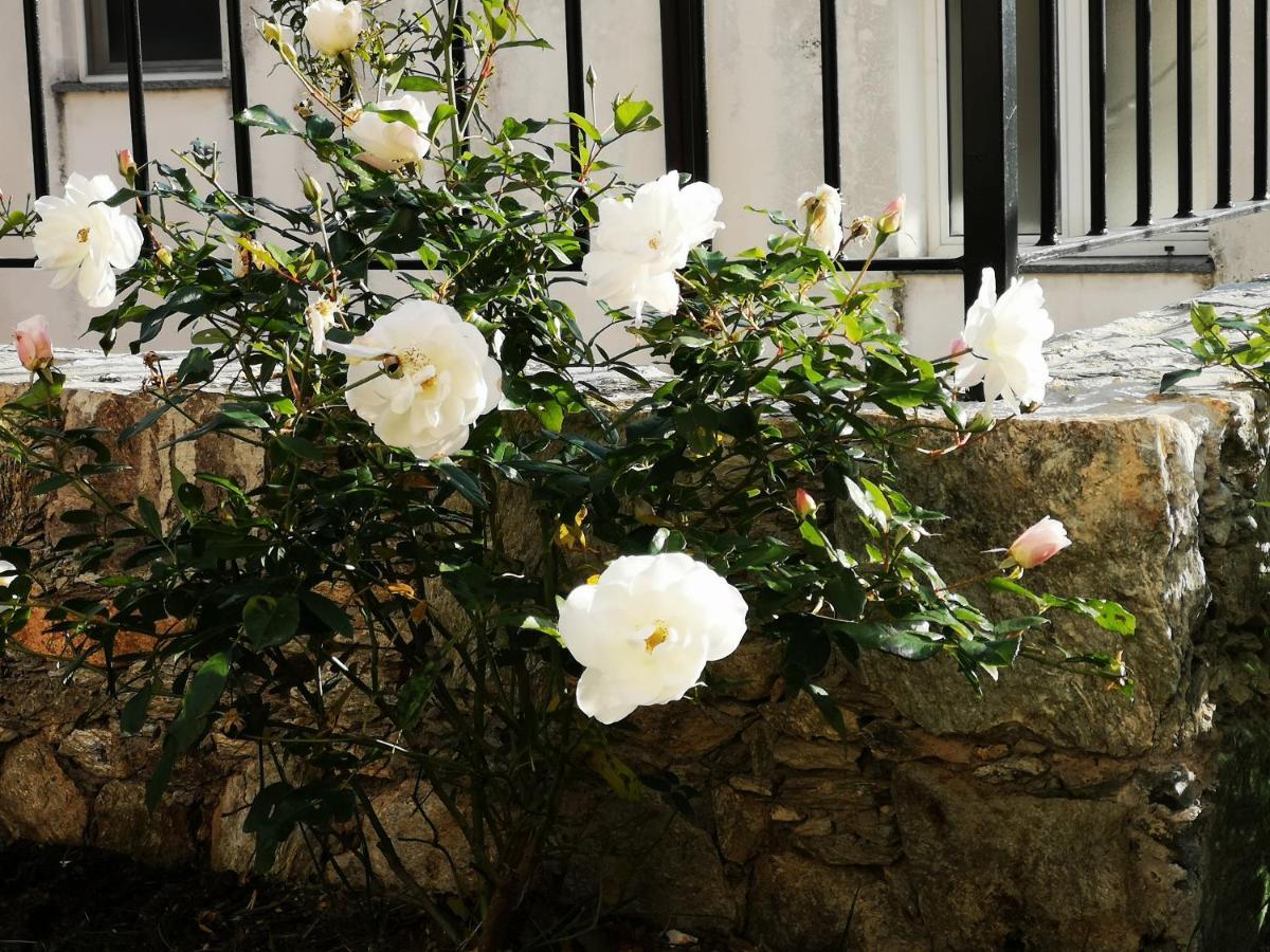 B&B Ca' Du Brigidin Tovo San Giacomo Eksteriør billede